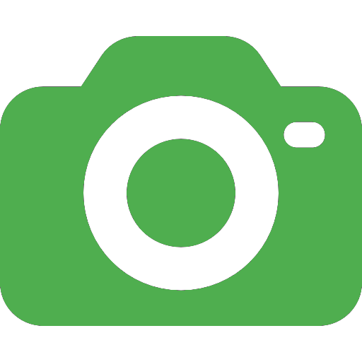 whatsapp send media messages